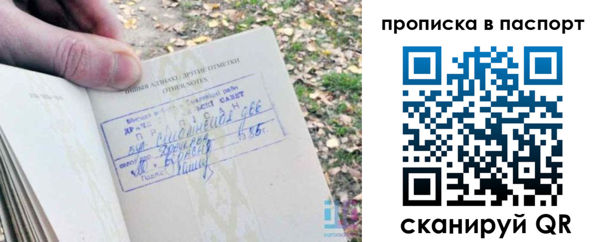купить прописку в Тюменской области
